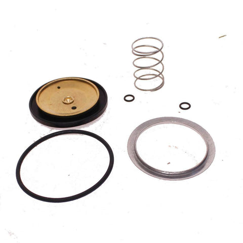 Burket 00624040 Valve Kit